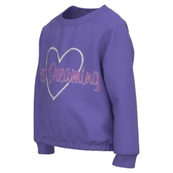 Sudaderas Name-it Nmfrodja Ls Swe Bru Pb