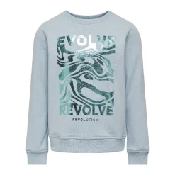 Sudaderas Only kids Kogcarol L S Sateen O-Neck Swt
