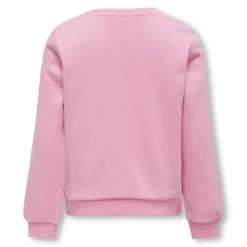 Sudaderas Only kids Koglotta Reg L S College Box Swt