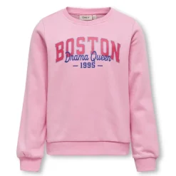 Sudaderas Only kids Koglotta Reg L S College Box Swt