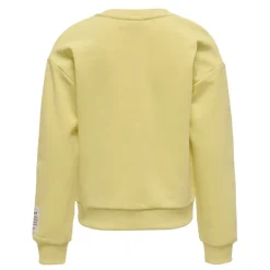 Sudaderas Only kids Kogtaylor L S O-Neck Ub Swt