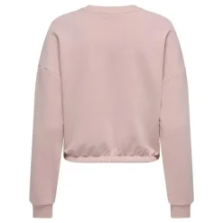 Sudaderas Only Onlida L S Emb O-Neck Box Ub Swt