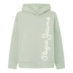 Sudaderas Pepe jeans IMA Waldo Hoodie