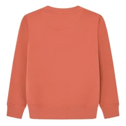 Sudaderas Pepe jeans New Lamonty Crew