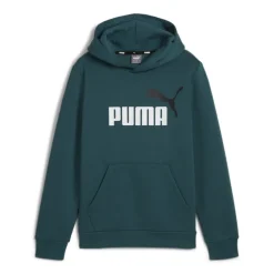 Sudaderas Puma Ess- 2 Col Big Logo Hoodie FL