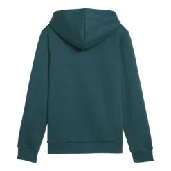 Sudaderas Puma Ess- 2 Col Big Logo Hoodie FL