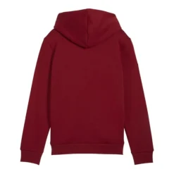 Sudaderas Puma Ess- 2 Col Big Logo Hoodie FL