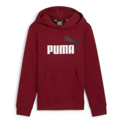 Sudaderas Puma Ess- 2 Col Big Logo Hoodie FL
