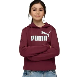Sudaderas Puma Ess No. 1 Logo Hoodie Fl G