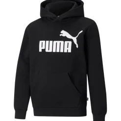 Sudaderas Puma Fleece Ess Big Logo Hoodie Fl B