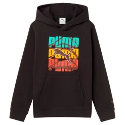Sudaderas Puma Graphic Logo Colour