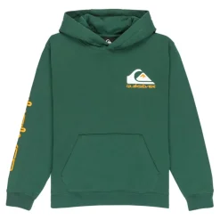 Sudaderas Quiksilver Omni Logo Hoodie Youth