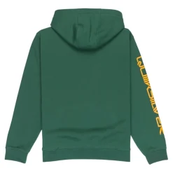 Sudaderas Quiksilver Omni Logo Hoodie Youth