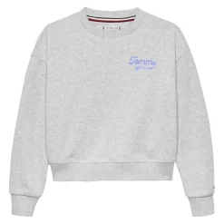 Sudaderas Tommy hilfiger Tommy Flock Sweatshirt