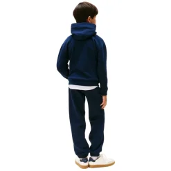 Sudaderas Tommy hilfiger Flag Hoodie