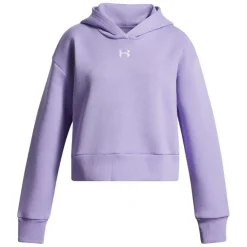 Sudaderas Under armour Ua Rival Fleece Hoodie