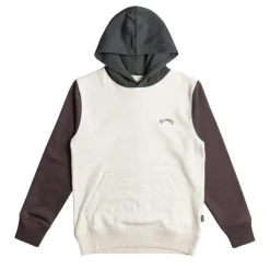 Sudaderas Billabong Arch Block Po