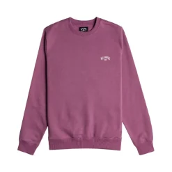 Sudaderas Billabong Arch Otlr Ppf0