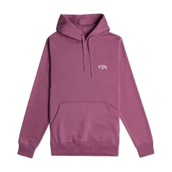 Sudaderas Billabong Arch Otlr Ppf0