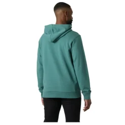 Sudaderas Helly hansen Hh Box Hoodie