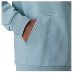 Sudaderas Helly hansen Hh Logo Hoodie