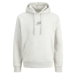 Sudaderas Jack & jones Jjcorp Graphic Sweat Hood Ln
