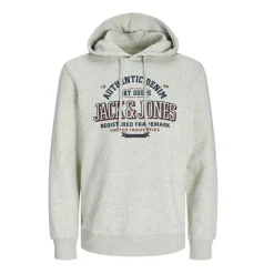 Sudaderas Jack & jones Jjelogo Sweat Hood 2 Col 24 25 Noos