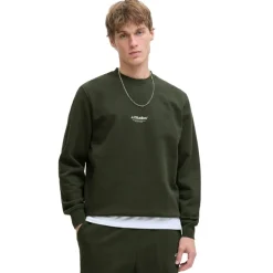 Sudaderas Jack & jones Jjesoho Sweat Hood Noos