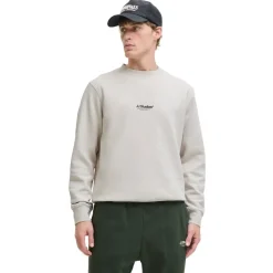 Sudaderas Jack & jones Jjesoho Sweat Crew Neck Noos