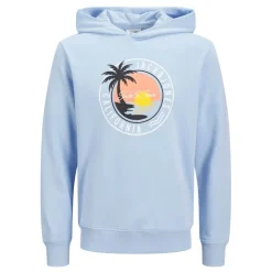Sudaderas Jack & jones Jjpalm Sweat Hood