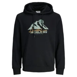 Sudaderas Jack & jones Jjsun Sweat Hood