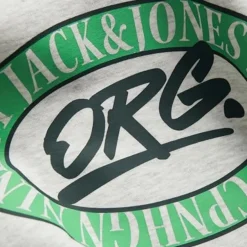 Sudaderas Jack & jones Jorarthur Sweat Hood Sn