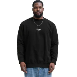 Sudaderas Jack & jones plus Jjesoho Sweat Crew Neck Noos Pls