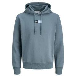 Sudaderas Jack & jones plus Jjpan Sweat Hood Pls