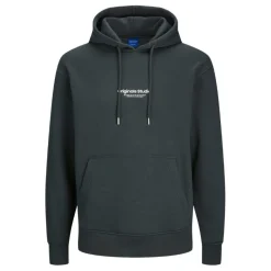 Sudaderas Jack & jones plus Jorvesterbro Sweat Hood Noos Pls