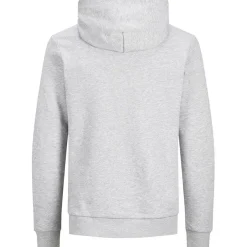 Sudaderas Jack & jones PromoFleece Jjecorp Logo Sweat Hood Noos