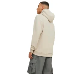 Sudaderas Jack & jones PromoFleece Jjebradley Sweat Hood Noos
