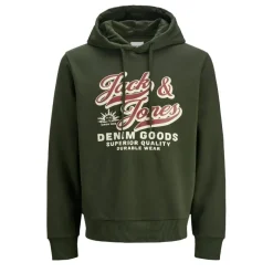 Sudaderas Jack & jones PromoFleece Jjelogo Sweat Hood 2 Col 25 26 Noos
