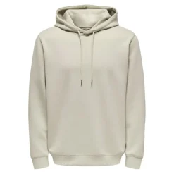Sudaderas Only & sons Onsluca Reg Ls Hoodie Sweat