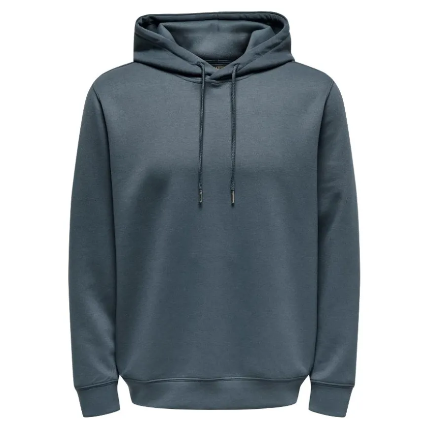 Sudaderas Only & sons Onsluca Reg Ls Hoodie Sweat