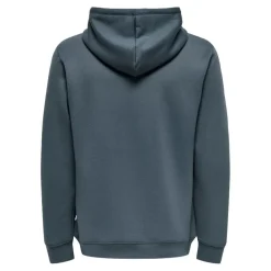 Sudaderas Only & sons Onsluca Reg Ls Hoodie Sweat