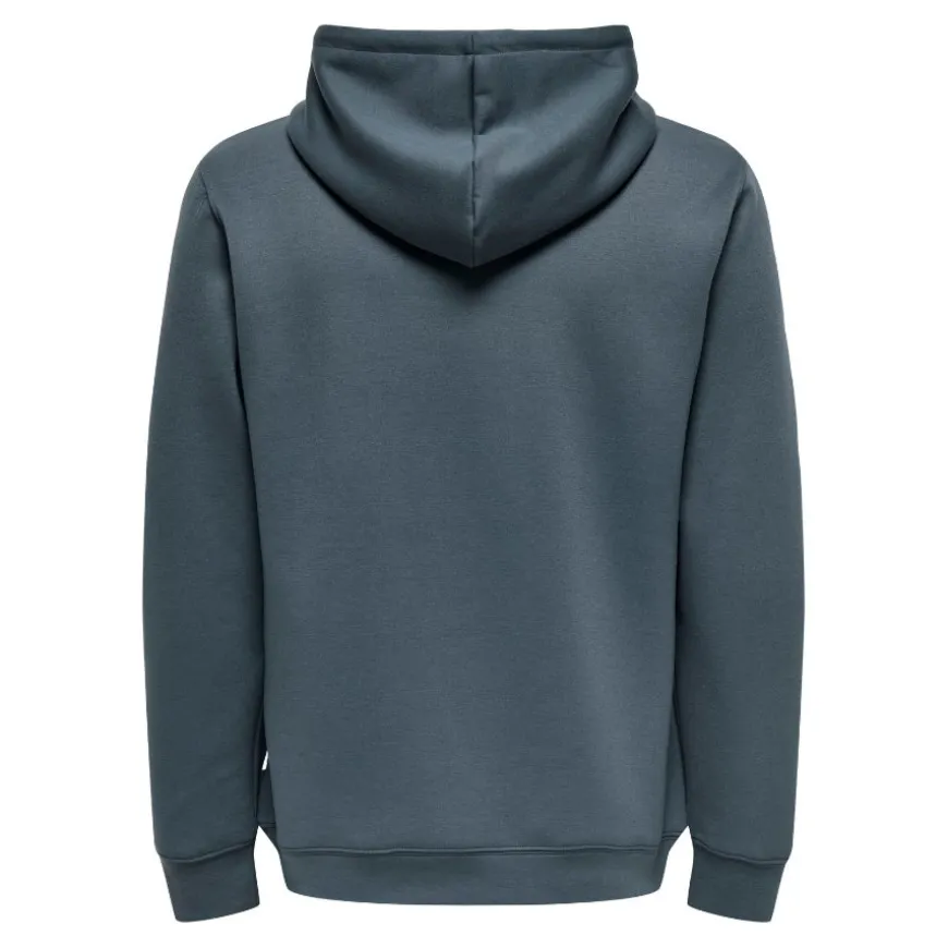Sudaderas Only & sons Onsluca Reg Ls Hoodie Sweat