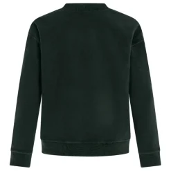 Sudaderas Protest Hawk