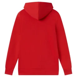 Sudaderas Puma Blank Hoodie Jr Girona