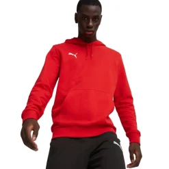 Sudaderas Puma Hoodie Teamgoal