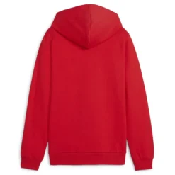 Sudaderas Puma Hoodie Teamgoal