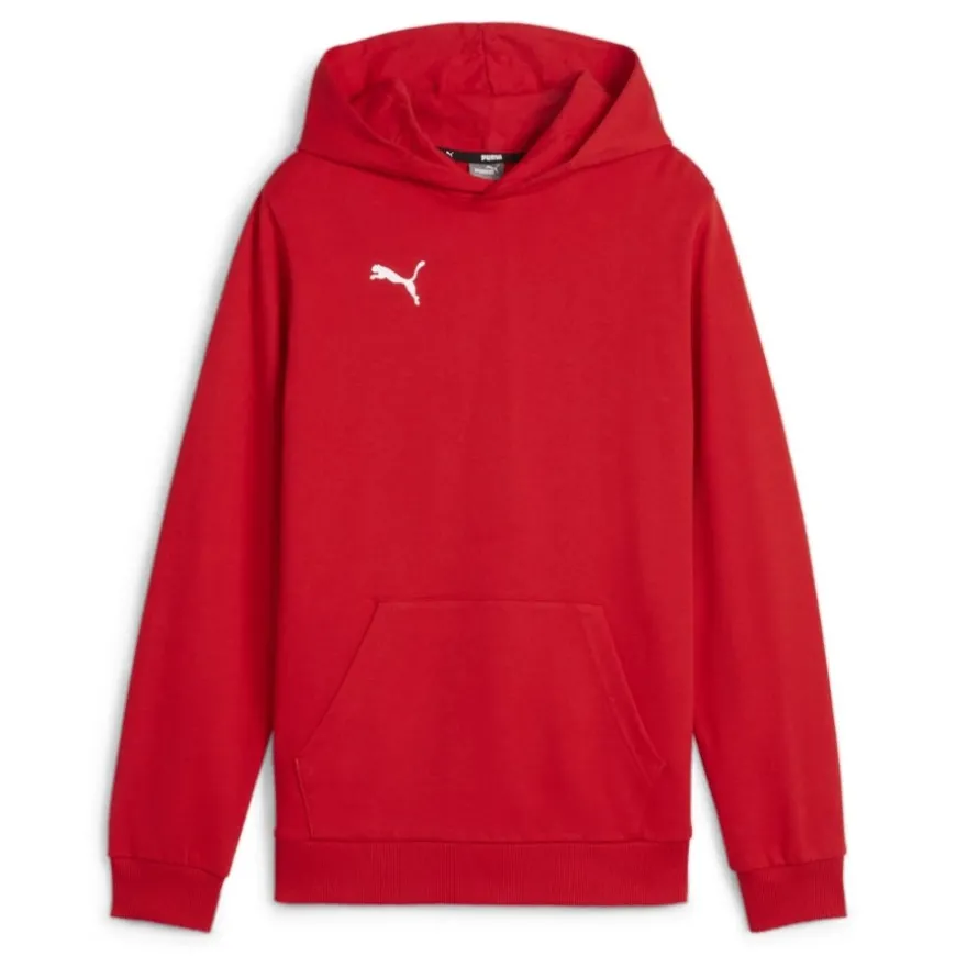 Sudaderas Puma Hoodie Teamgoal