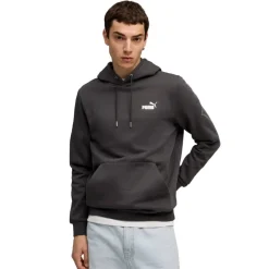 Sudaderas Puma Maximal Metallic Relaxed Hoodie FL