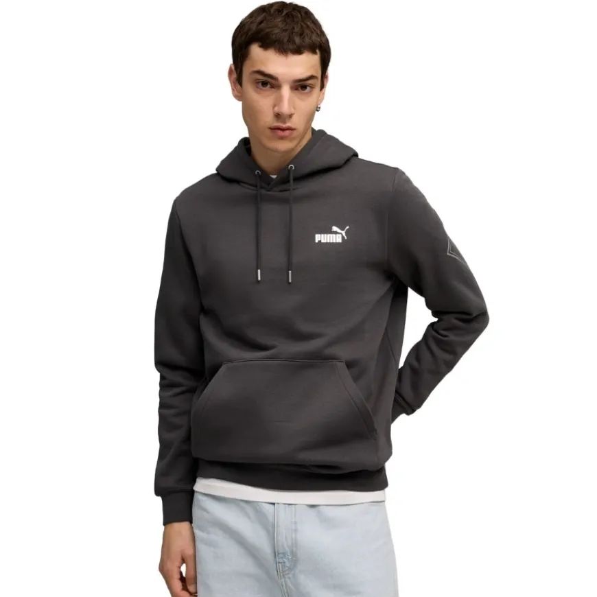 Sudaderas Puma Maximal Metallic Relaxed Hoodie FL