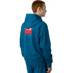 Sudaderas The north face M Raglan Box Nse Hoodie